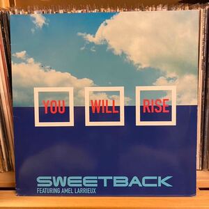 名曲R&B SWEETBACK feat. Amel Larrieux / You Will Rise 12inch EPIC US 49-78512 97年リリースEP,SADEバックバンド