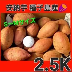 S～Mサイズ混合　鹿児島県種子島産　安納芋(紅)　焼き芋に最高　さつまいも053