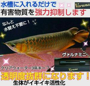 爆発的に売れてます【ヴァルナミニ23センチ】有害物質を強力抑制！透明度が抜群に！☆水替えも不要になります！水槽に入れるだけ！説明書付