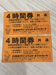 【ペア】 北海道グリーンランド　ホワイトパーク 4時間券2枚 リフト券 スキー