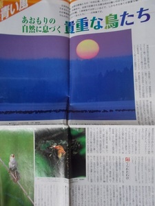 2009年.日本原燃 新聞風 冊子【新かわら版 青い森青い風/あおもりの自然に息づく貴重な鳥たち】野鳥.レッドリスト/上田恵介.中田一真