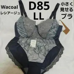 レシアージュD85&ショーツLL