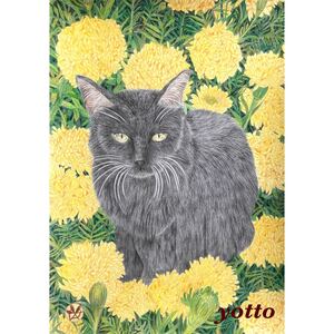 色鉛筆画「 黒猫・雲外蒼天 」Ａ４・額付き◇◆手描き◇原画◆猫◇◆yotto◇