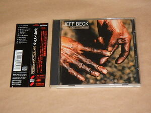 ユー・ハッド・イット・カミング　/　 ジェフ・ベック（JEFF BECK）/　CD　/　帯付き