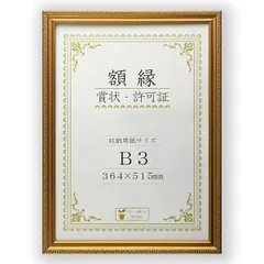 【数量限定】樹脂製 金色賞状額 金消 R 箱入 B3 収納寸法：364×515mm 賞状 額 表彰状 卒業証書 免許書 許可証 額縁 フレーム