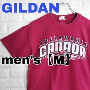 C294【GILDAN】半袖プリントTシャツ【メンズM】ボルドー