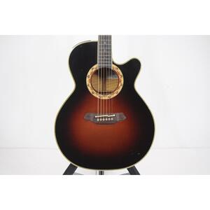 ＴＡＫＡＭＩＮＥ　　ＤＳＰ－５２０