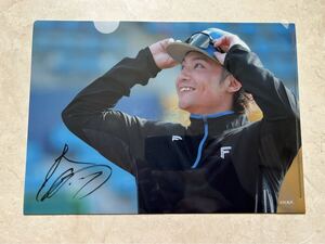 即決 来場者入場者限定 北海道日本ハムファイターズ 日ハム 伊藤大海 選手 投手 クリアファイル 17 未使用 プロ野球グッズ 野口観光