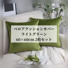 クッションカバー  2枚セット 無地 ベロア ライトグリーン 60×60cm