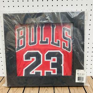 未開封 NIKE ナイキ ユニフォーム マイケル・ジョーダン MICHAEL JORDAN ICON EDITION AUTHENTIC JERSEY ROAD MJ BOX 現状品 [HT24-0625-5]