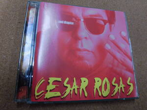 輸入盤CD CESAR ROSAS/SOUL DISGUISE y