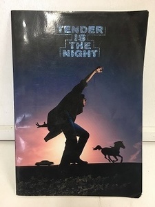 ★☆(鹿児島発送)【訳あり】浜田省吾 コンサートパンフレット 『THNDER IS THE NIGHT』 1996年LIVE TOUR☆★