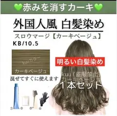 ヘアカラー 白髪染め スロウ KB緑【アディクシー ホワイトブリーチ剤同梱割有A