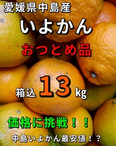 発送込！！ 愛媛県中島産いよかんおつとめ品箱込13kg④