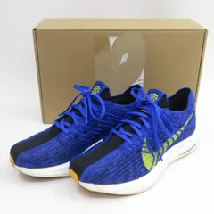 NIKE ナイキ Pegasus Turbo ペガサス ターボ ネクスト ネイチャー DM3413-401 US7/25cm 箱有 ※中古