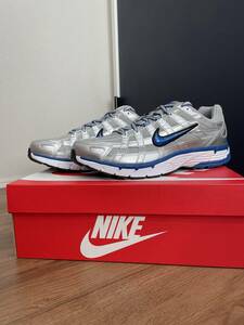 新品 Nike P6000 Silver/Blue BV1021-001 29㎝