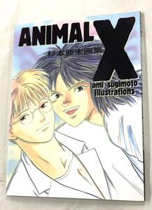 即決！初版！画集「ANIMAL X 杉本亜美画集：アニマル・エックス」