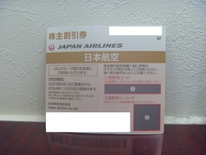 JAL　株主優待券【送料無料】 10枚セット売り　2024年11月30日まで　日本航空　ジャル　JAPAN AIRLINES　番号通知のみ不可