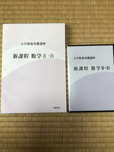 新品未使用　大学教養基礎講座　新課程　数学II・B テキスト&DVD