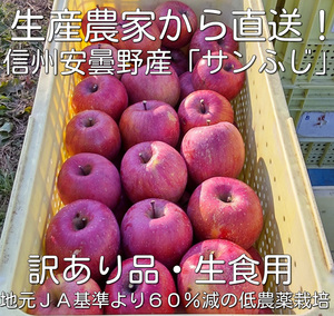 信州安曇野「葉とらずサンふじ」約5キロ　訳あり品　減農薬・除草剤不使用　送料無料地域限定②