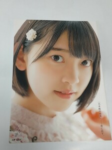 乃木選 堀未央奈 冊子のみ 乃木坂46