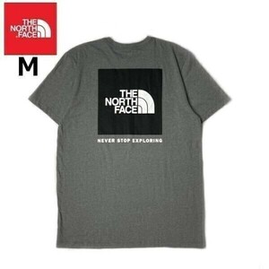 1円～!売切!【正規新品】THE NORTH FACE S/S BOX NSE TEE 半袖 Tシャツ US限定 ボックスロゴ 男女兼用 アウトドア 登山(M)グレー 180902-13