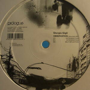 Giorgio Gigli - Observation Document #01