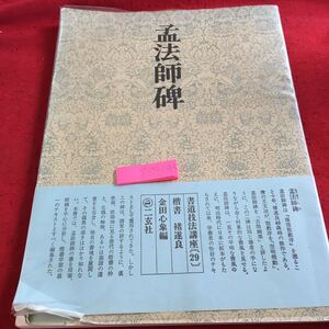 Y35-145 孟法師碑 書道技法講座 29 楷書 遂良 金田心象編 二玄社 昭和55年発行 目次不明 用筆法 習字 漢字 書き方 コツ 持ち方 など