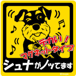 新品★ノッてますステッカー★シュナウザー★マグネット★車に♪★犬雑貨　送料180円可