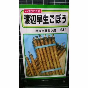 ３袋セット 渡辺 早生 ごぼう 牛蒡 種 郵便は送料無料