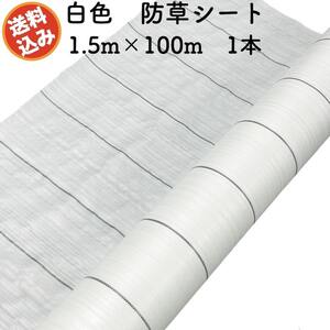 防草シート 白色（サンホワイト） 1.5m×100m 1本 抗菌剤 UV剤入り 反射 除草シート 雑草対策 太陽光 野菜 畑 農業