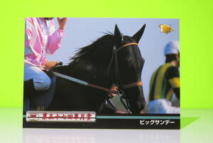 競馬　サラブレッドカード1997　077　ビッグサンデー　　　　