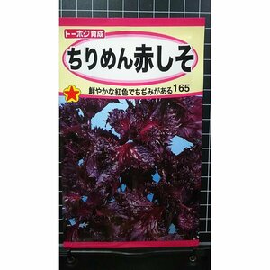 ちりめん 赤 しそ アカシソ ３袋セット 種 郵便は送料無料