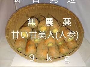 茨城産無農薬人参9kg