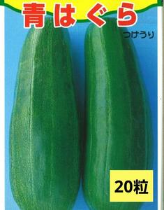 ＜野菜の種＞青はぐら　２０粒　つけうり　ツケウリ はぐら瓜　漬物瓜