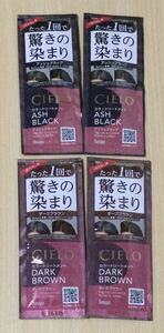 CIELO シエロ カラートリートメント★アッシュブラック／ダークブラウン 白髪用【試供品】