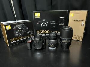 Nikon ニコン D5500 ダブルズームキット デジタル一眼レフカメラ シャッターカウント1156回 