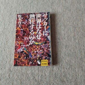 サッカーに世界はなぜ熱狂するのか 松本育夫 