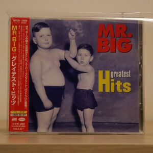 MR. BIG/GREATEST HITS/RHINO WPCR11889 CD □