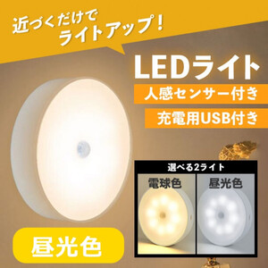 センサーライト 室内 人感 LED 廊下 天井 USB 明暗 白色216a