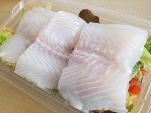 パンガシウスフィーレ 10kg 170/220サイズ 白身魚 フライ、ムニエルに【水産フーズ】