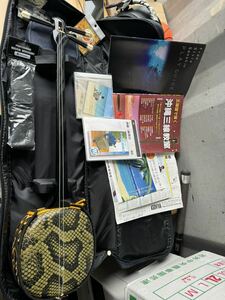 三味線 和楽器 沖縄三線 三線 蛇柄 民族楽器 蛇三線 弦楽器 