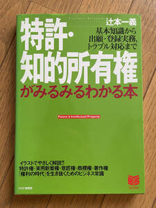 特許・知的所有権がみるみるわかる本　基本知識から出願・登録実務，トラブル対応まで （ＰＨＰビジネス選書） 辻本一義／著