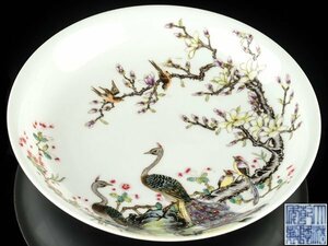 【流】中国美術 粉彩花鳥図皿 幅21cm TU252