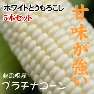 今年も数量限定☆ホワイトとうもろこし【即決】7月中下旬予約順に出荷】農家指定産地直送平均糖度20度プラチナ(1箱5本入り)鳥取産【常温】