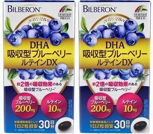 2箱　DHA吸収型ブルーベリールテインDX 60粒　ビルベリーエキスを200mg配合、ルテイン、DHA、ゼアキサンチン、アスタキサンチンを配合！