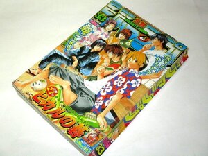 少年ジャンプ2002年33号 ヒカルの碁 巻頭カラー&ポスター/ BLEACH ONE PIECE テニスの王子様 NARUTO 遊戯王 ハンターハンター いちご100%他