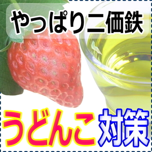 ウドンコ病対策★数量限定お試し100ml★送料無料★イチゴの徒長,果皮の軟化,土壌ｐH調整,塩基障害緩和,連作障害の防止,炭疽病,萎黄病対策