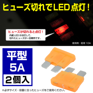 BigOne 切れたら光って知らせる インジケーター 内蔵 2個セット 平型 ヒューズ 5A ATP LED