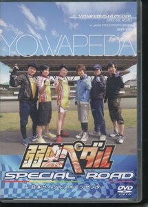 即決DVD 弱虫ペダル SPECIAL ROAD in 日本サイクルスポーツセンター アニメイト特典キャストブロマイド5枚付